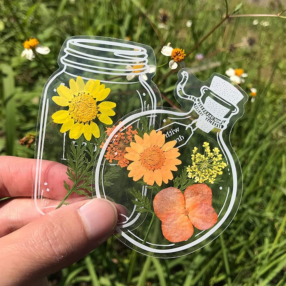 30Pcs DIY Transparent Dried Fl – Dried Flower Bookmark recenzja i cena