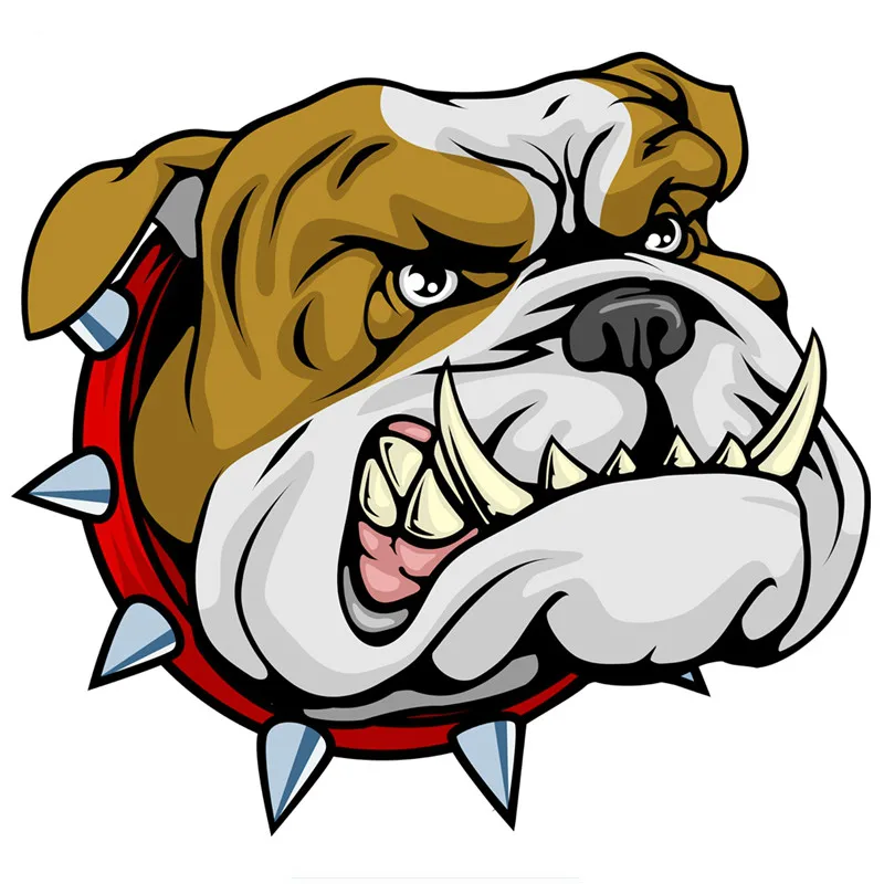New Design Hot Sell Super Angr – Pet Portrait Custom recenzja i cena