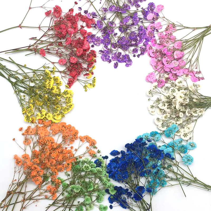 100 Pieces of Baby's Breath Pl – Dried Flower Bookmark recenzja i cena