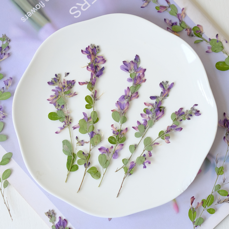 6pcs,nature Lespedeza Formosa  – Dried Flower Bookmark recenzja i cena