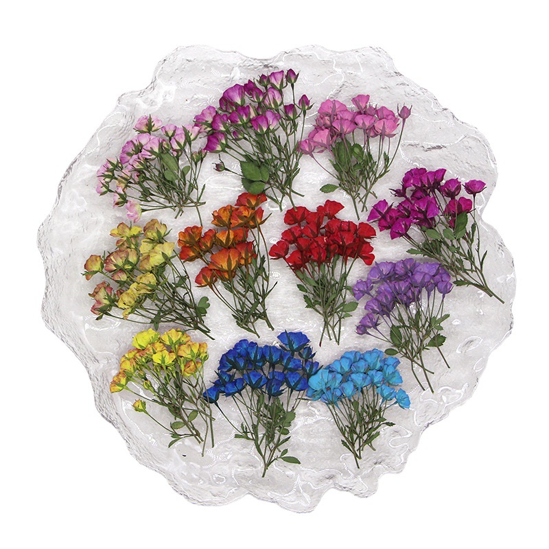 36X Pressed Dried Multi-heads  – Dried Flower Bookmark recenzja i cena