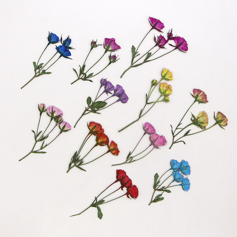 36X Pressed Dried Multi-heads  – Dried Flower Bookmark recenzja i cena