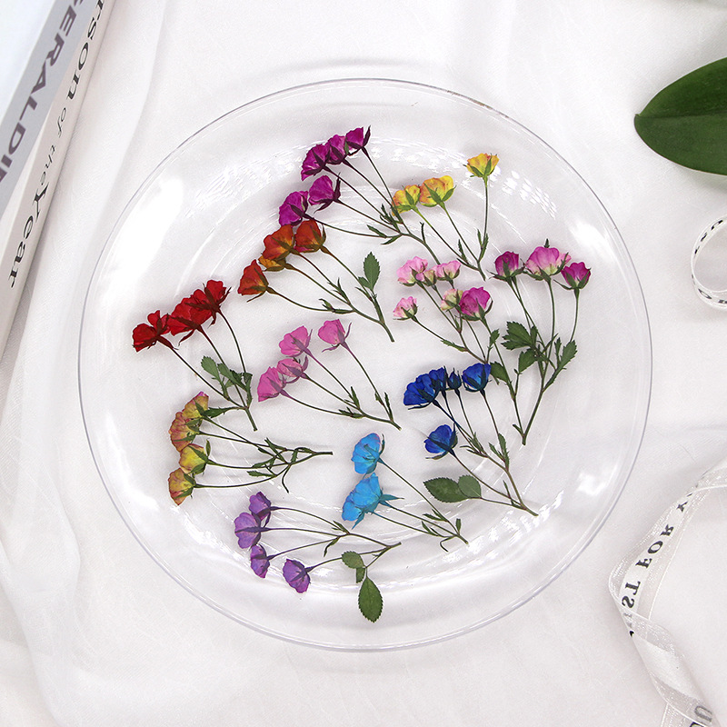 36X Pressed Dried Multi-heads  – Dried Flower Bookmark recenzja i cena