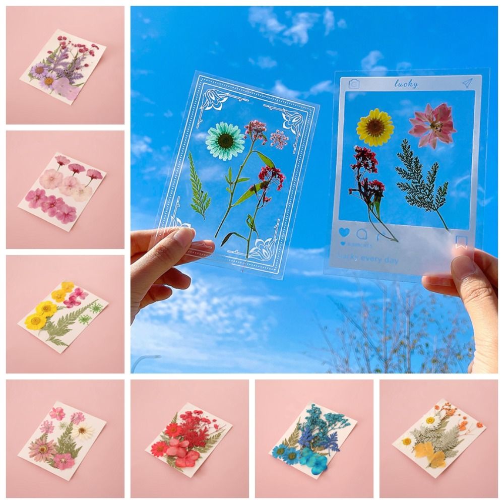DIY Materials DIY Dried Flower – Dried Flower Bookmark recenzja i cena