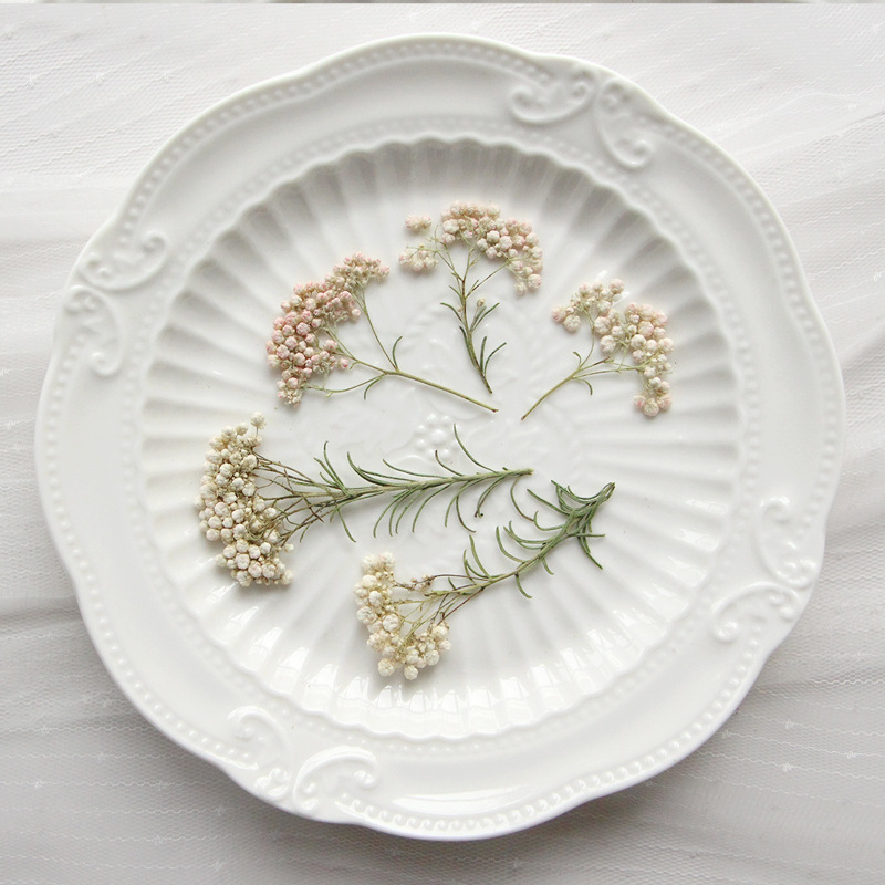 12pcs,Nature Millet flower bra – Dried Flower Bookmark recenzja i cena