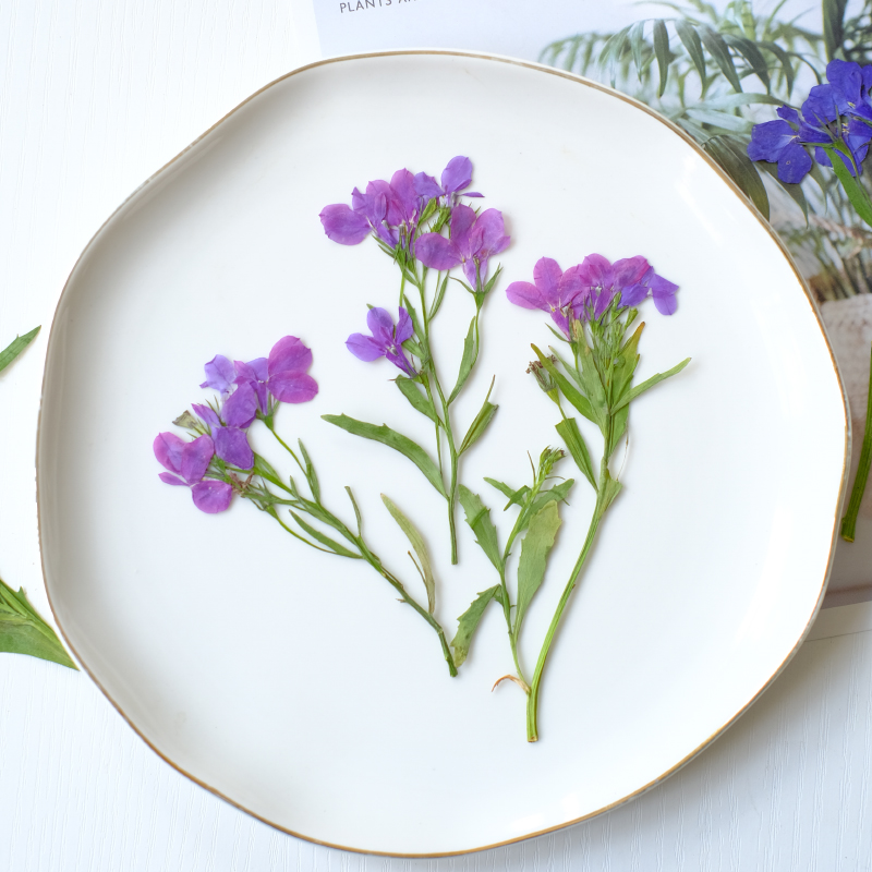 6pcs/8-13cm,nature Lobelia Eri – Dried Flower Bookmark recenzja i cena