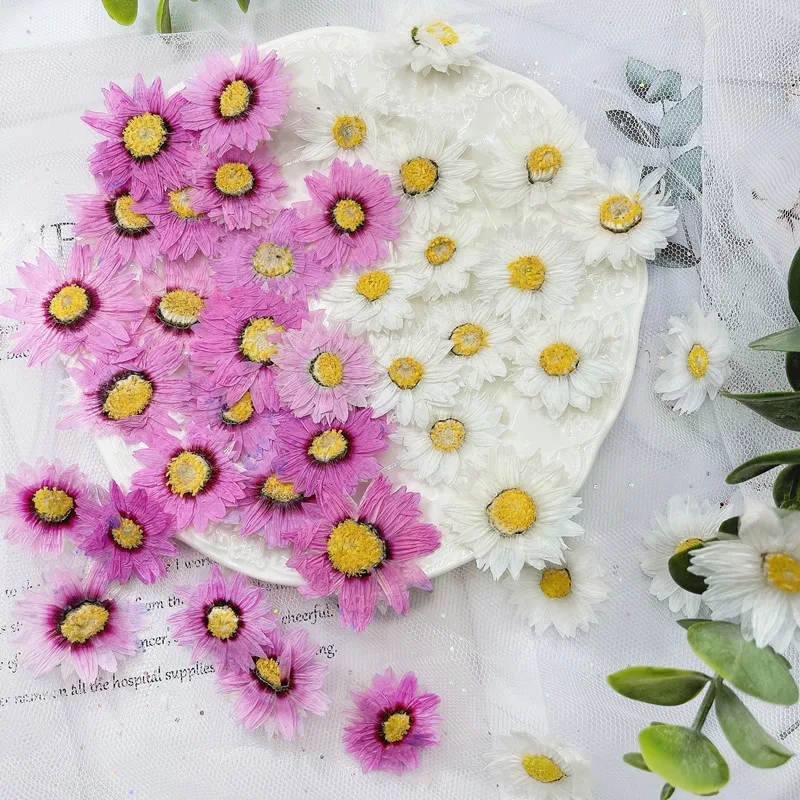 24pcs/2-4CM,Natural Pressed Fl – Dried Flower Bookmark recenzja i cena