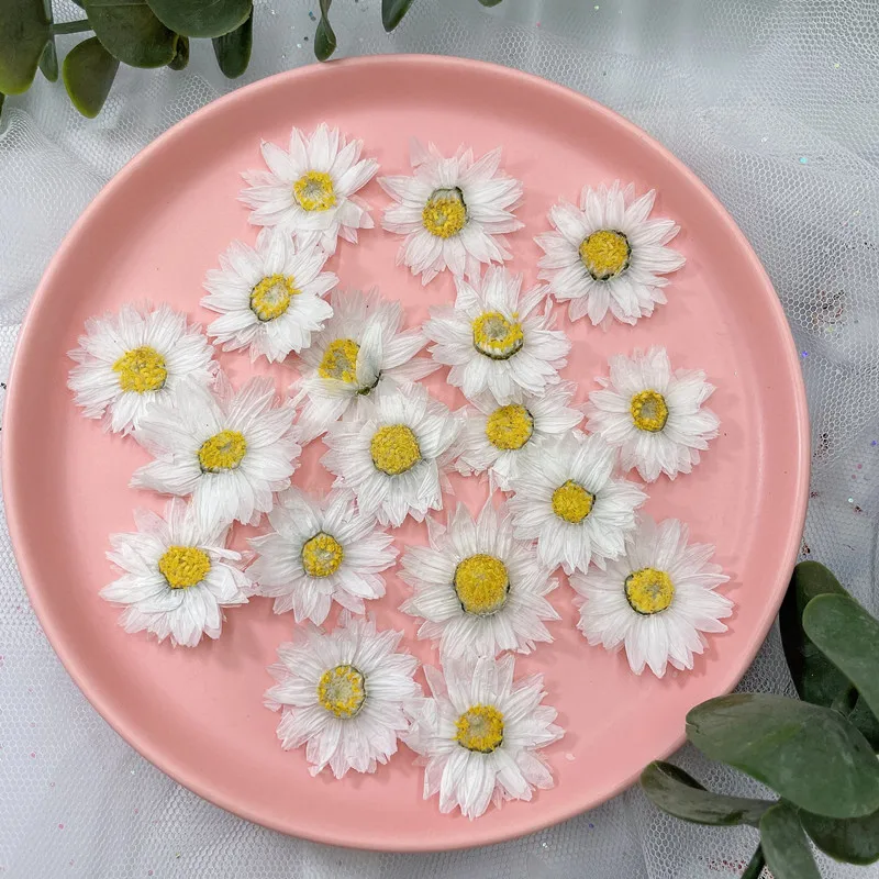 24pcs/2-4CM,Natural Pressed Fl – Dried Flower Bookmark recenzja i cena