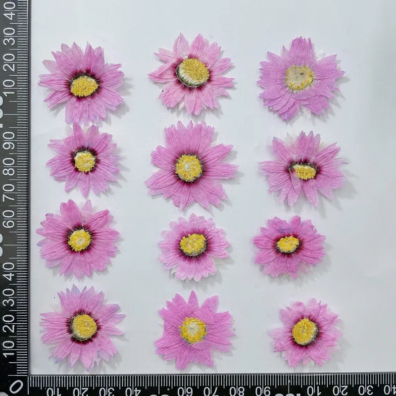 24pcs/2-4CM,Natural Pressed Fl – Dried Flower Bookmark recenzja i cena