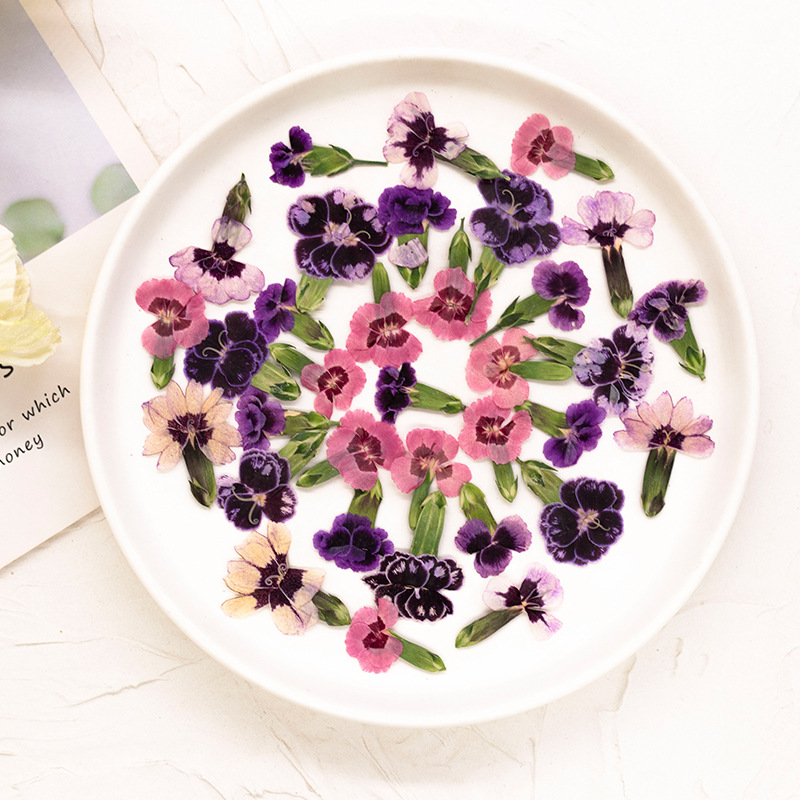 24pcs,Pressed Dried Dianthus F – Dried Flower Bookmark recenzja i cena