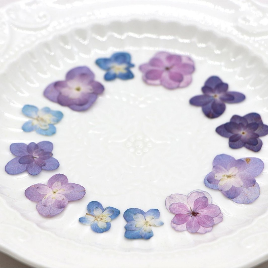 60Pcs Mini Double-Flowered Hyd – Dried Flower Bookmark recenzja i cena