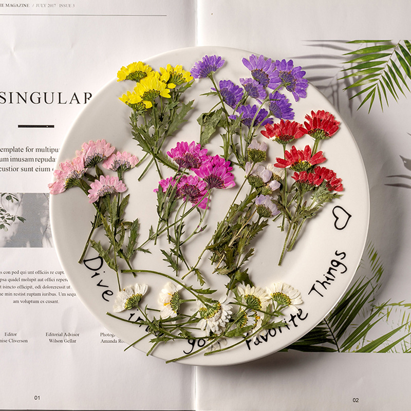 5-8cm/24pcs,Side pressed cryst – Dried Flower Bookmark recenzja i cena